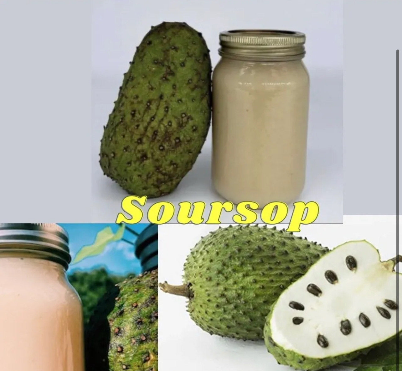 Soursop Seamoss